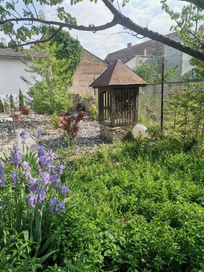 Somborski Salas - Strogi Centar Buitenkant foto