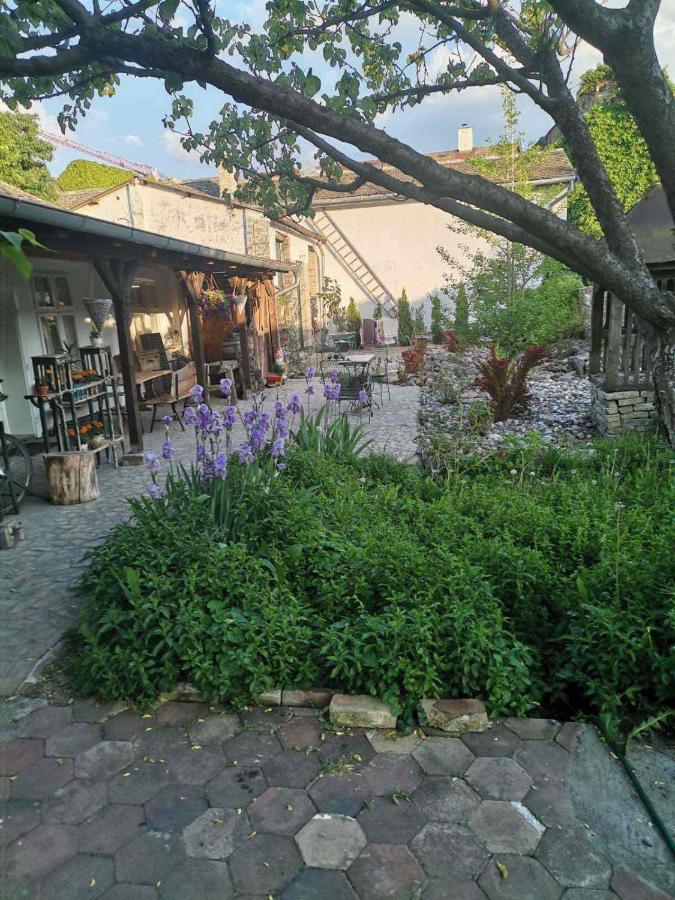 Somborski Salas - Strogi Centar Buitenkant foto
